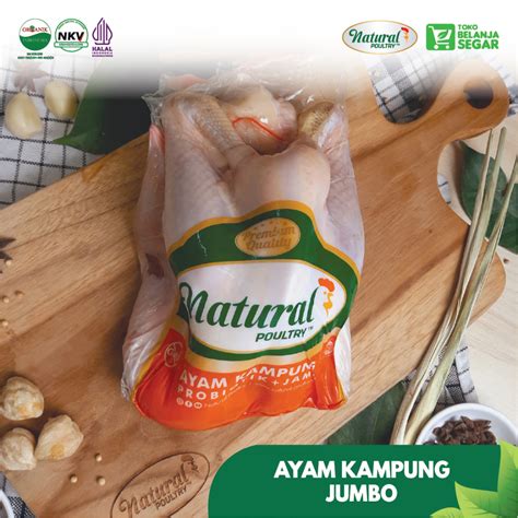 Jual Ayam Potong Kampung Utuh Jumbo Asli Natural Poultry 900gr 1kg