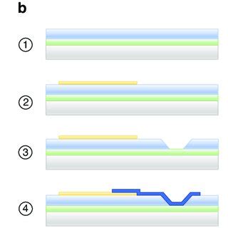 Design and fabrication of the transparent neural probe. a Device layout ...