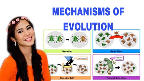 MECHANISMS OF EVOLUTION YouTube