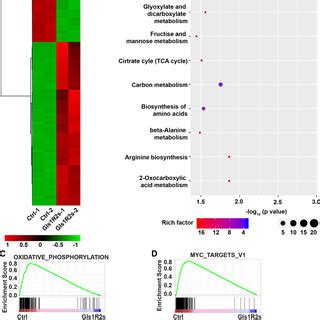 Gene Expression Signatures Of Mk Gls R S Transduced Pct Cells A Heat