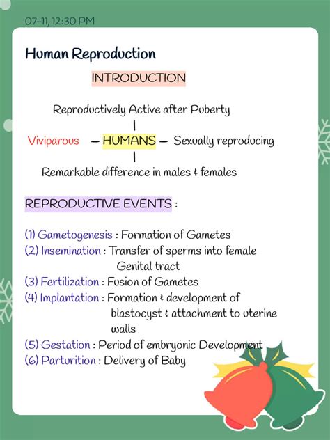 Human Reproduction Notes by Andleaf | PDF | Menstrual Cycle | Testicle