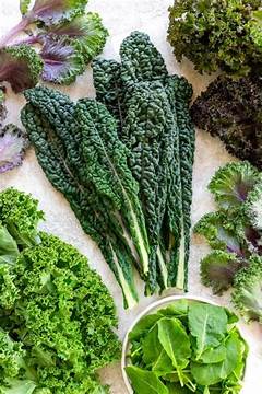 Types Of Kale