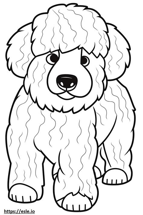 Bichpoo Friendly coloring page