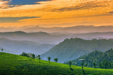 One Day Munnar Sightseeing Trip With Top Station By Cab [price And Itinerary]