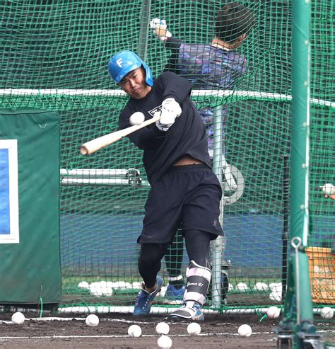 【日本ハム】初のキャンプ2軍スタート今川優馬、状態の良さ披露「最後に、どこにいるかが大事」 プロ野球写真ニュース 日刊スポーツ