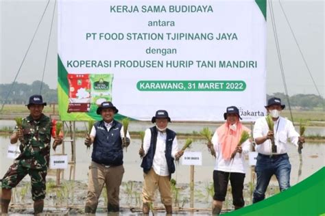 Untuk Pasokan Beras Jakarta Food Station Gandeng Petani Karawang