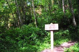 Cougar Mountain Regional Park - TrailMeister