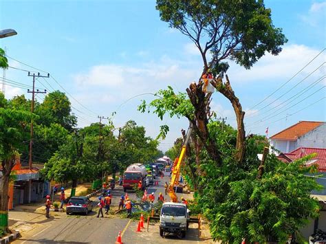 Hadapi Cuaca Ekstrem Ini Imbauan Pln Untuk Jaga Keselamatan Pelanggan