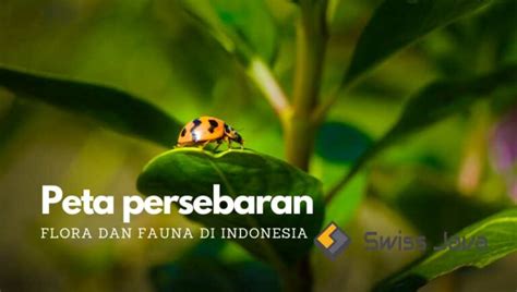 Peta Persebaran Flora Dan Fauna Di Indonesia Lengkap