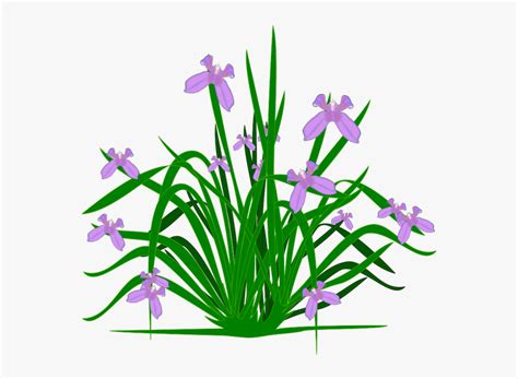 Lavender Clipart Indigo Plant - Flower Small Plants Png, Transparent ...