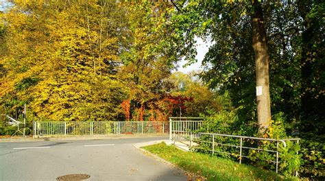 riesa travel guide   riesa saxony travel  expediacouk