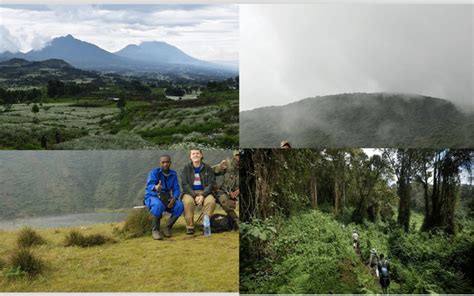 1 Day Trip Of Bisoke Hiking Starting From Kigali GetYourGuide