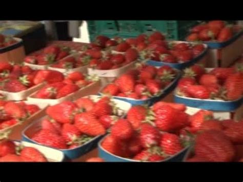 F Te De La Fraise De Velleron Vid O Dailymotion