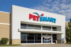 How Old Are Hamsters At Petsmart & Petco? 3 Smart Ways To Be Sure ...