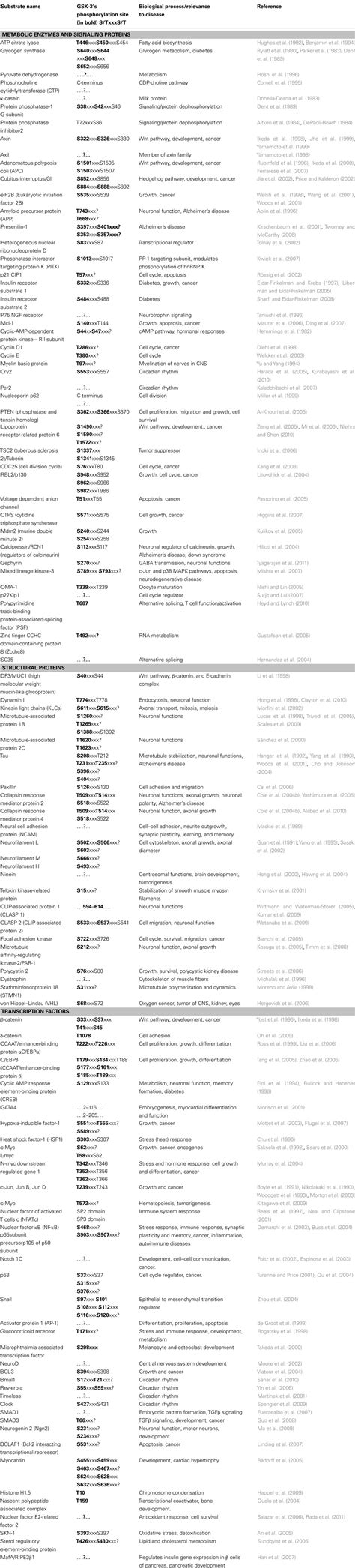 Frontiers Gsk 3 Functional Insights From Cell Biology And Animal