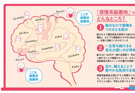 脳の“感情系脳番地”を鍛えれば、脱イライラ＆クヨクヨ！：日経xwoman