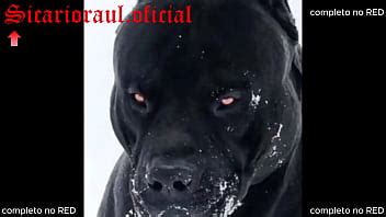 Raul Sicario Model Page XVIDEOS