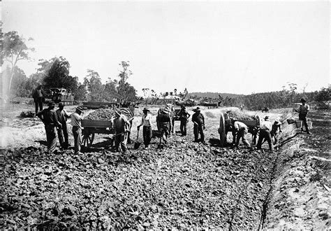 Negative Hurstbridge District Victoria Circa 1905