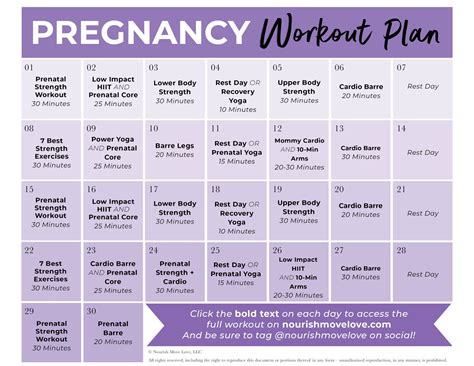 Pregnancy Workout Plan With Weights