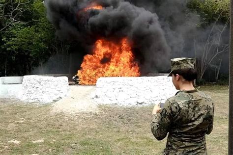 FGR incinera más de 300 kilos de droga en Base Militar de Bacalar PorEsto