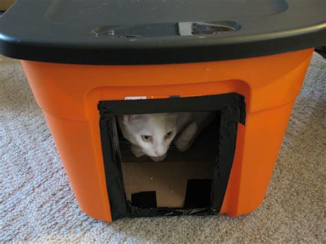 Stray Cat Shelter Diy - Simple DIY Fixes