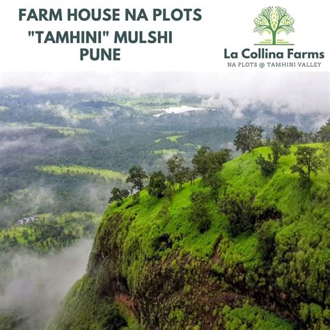 La Collina Farm Plots For Sale Adarwadi Tamhini Mulshi Maharashtra