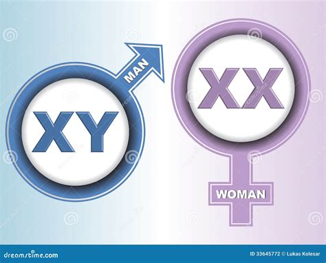 Sex Chromosome Signs Stock Illustration Illustration Of Bathroom 33645772