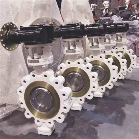 Wafer Lug Type Wcb CF8 CF8m Triple Offset Metal Seated Butterfly Valve