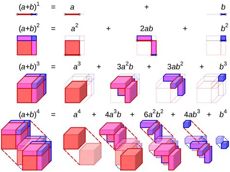 Binomial expansion visualization 1st - 4th dimension : math