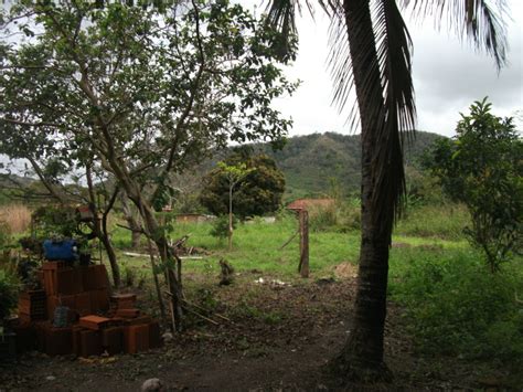 Terreno Rio Seco Bacaxa Saquarema M Bicudo Im Veis Maric