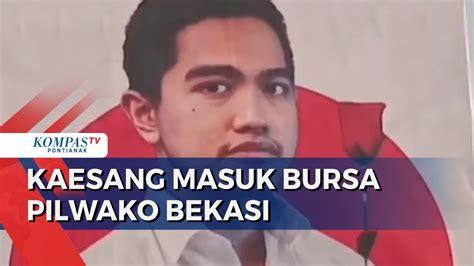 Kaesang Didorong Maju Pilkada Bekasi Psi Itu Aspirasi Masyarakat