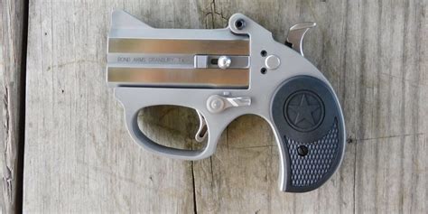 Bond Arms Stinger Review 2024