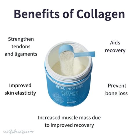 Does Collagen Count As A Complete Protein Reilly Beatty Sports Nutrition