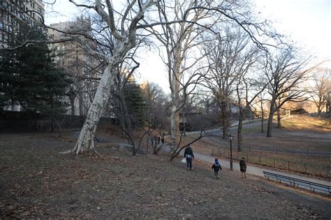 Woman Robbed By Man Who Then Tried To Force Her To Perform Oral Sex In Central Park New York