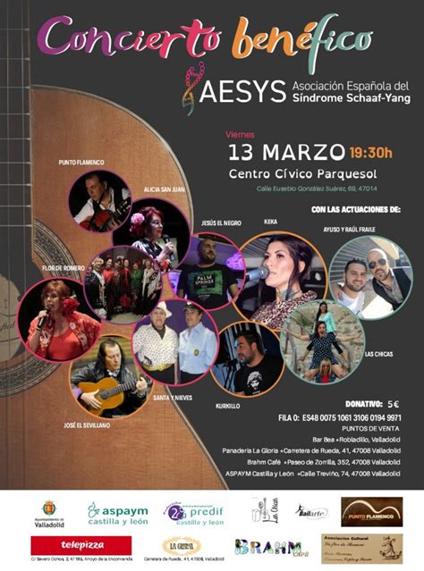 Concierto benéfico 2020 en Valladolid a favor de AESYS