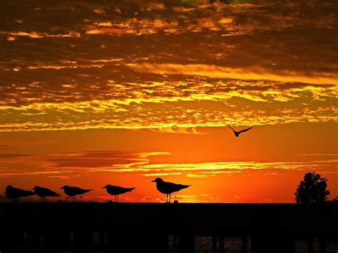 Orange Sky Photograph by Jerry O'Rourke - Pixels