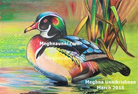 Mandarin Duck Painting in Oil Pastels – Meghna Unni's Blog