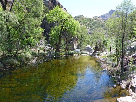 Ripples on the water: Sabino Canyon Trail, Sabino Canyon Recreation ...