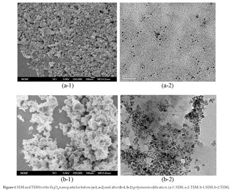 Study Of Preparation And Properties On Polymer Modified Magnetite