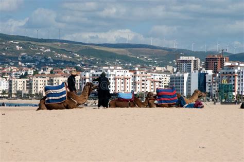 Beach Of Tangier Morocco Editorial Stock Photo Image Of Sandy 93412333