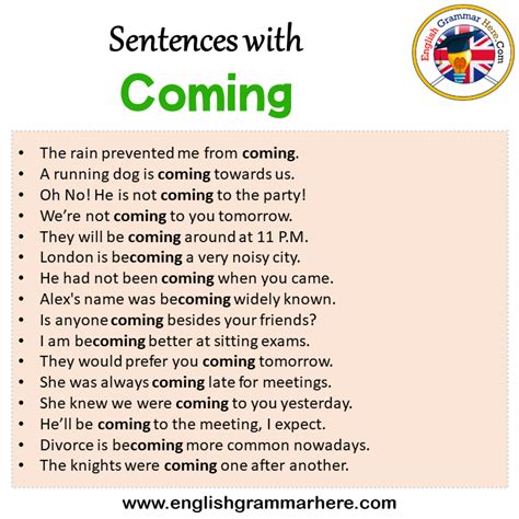 Sentences with Organizer, Organizer in a Sentence in English, Sentences For Organizer - English ...