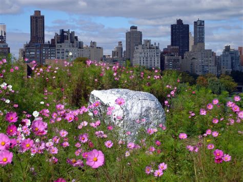 Nicholas Herman Socrates Sculpture Park