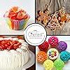 Amazon Chefast Pastry Bag And Coupler Set Frosting Kit For Cake