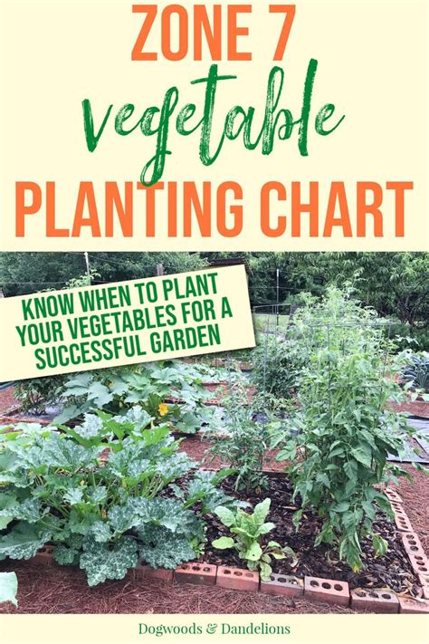 Zone 7 Vegetable Planting Chart In 2021 Planting Vegetables Gardening Zones Gardening For