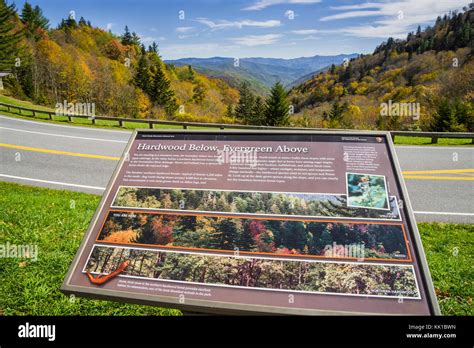 Great Smoky Mountains National Park Stock Photo - Alamy