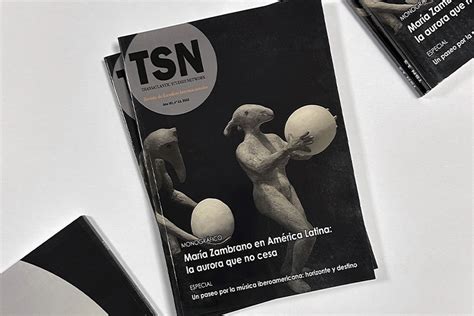 Tsn Revista De Estudios Internacionales Publica Su N Mero Trece En