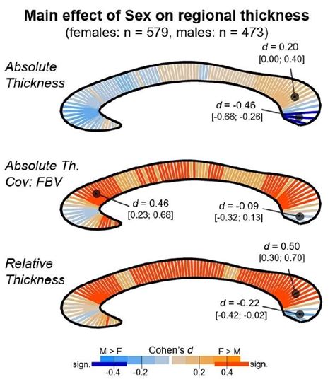 Segment Wise Presentation Of The Effect Size D Of The Main Effect Of Download Scientific