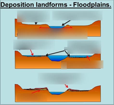 Floodplains + levees formation Diagram | Quizlet