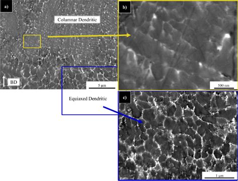 Sem Bse Micrograph Of The Sl Specimen S Center Built At T S 800 • C Download Scientific