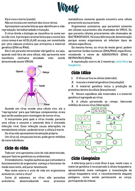 Resumo Vírus Enseñanza de química Notas de química Notas de biología